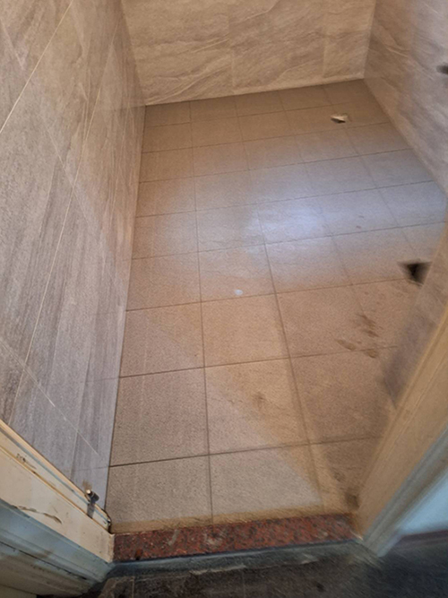 �����D�Ǿ�פu�{